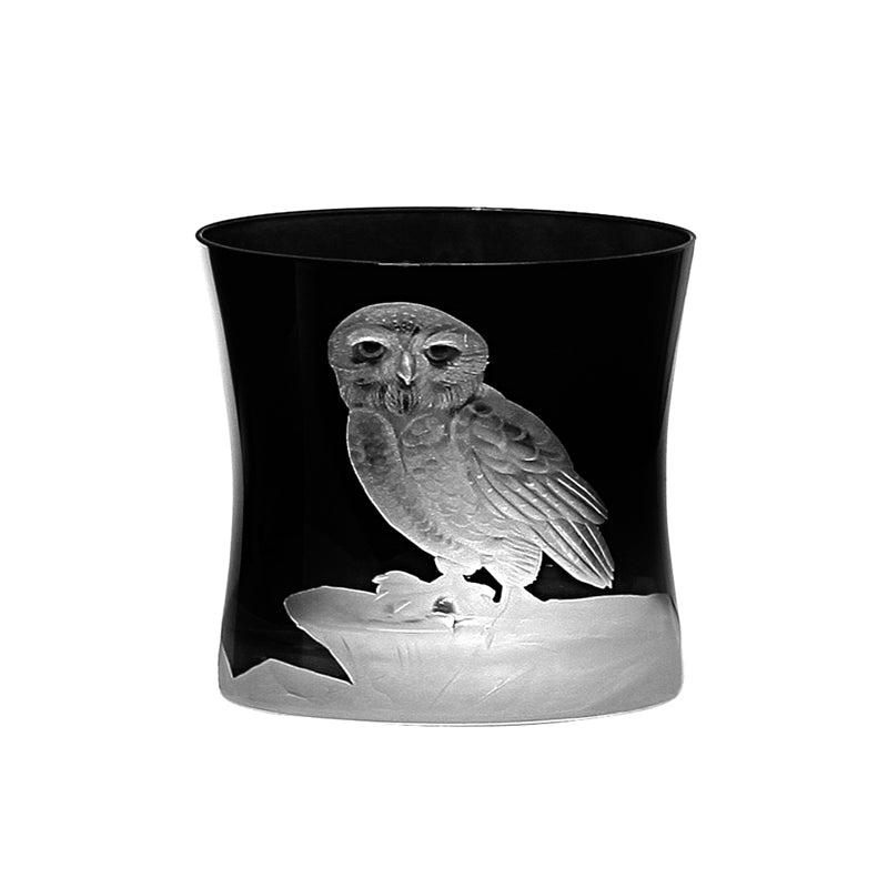 Arctic Snow Owl