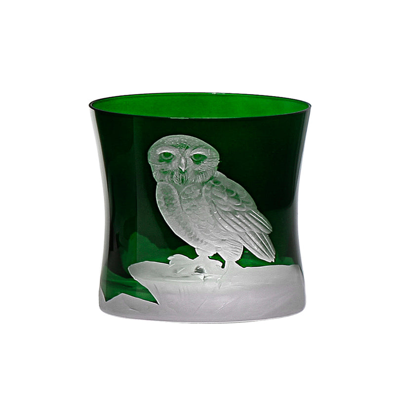 Arctic Snow Owl