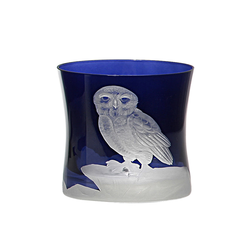 Arctic Snow Owl