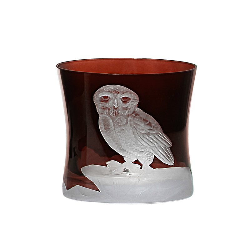 Arctic Snow Owl
