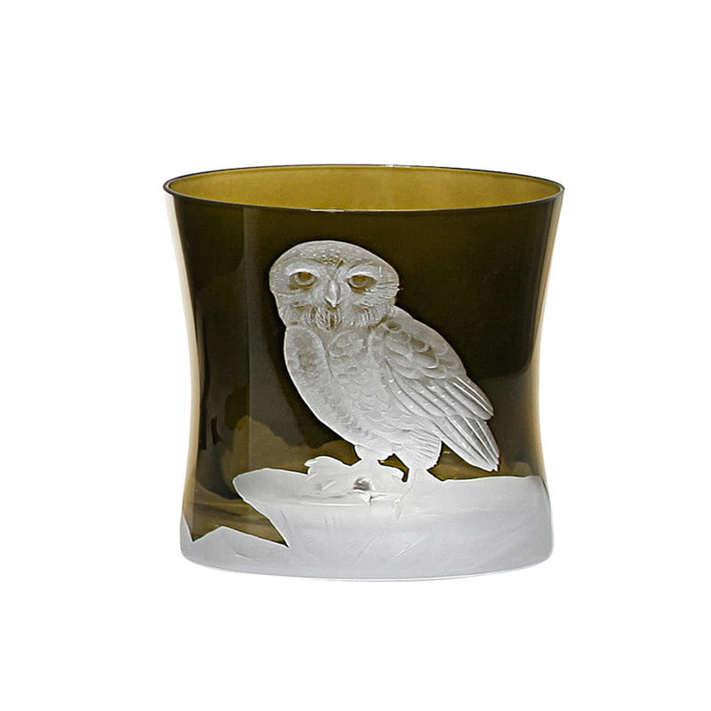 Arctic Snow Owl
