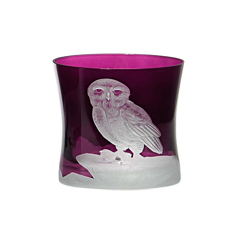Arctic Snow Owl