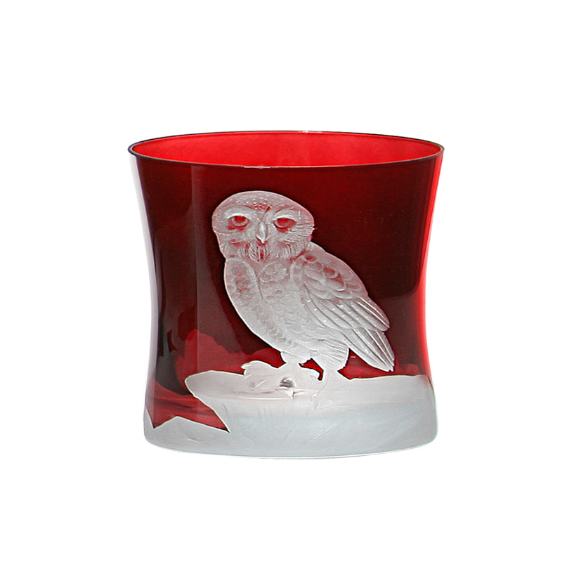 Arctic Snow Owl