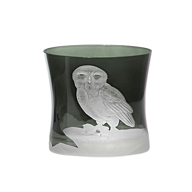 Arctic Snow Owl