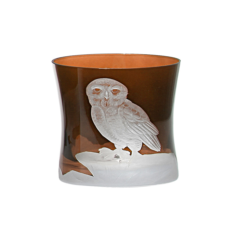 Arctic Snow Owl