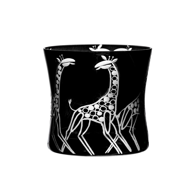 Safari Giraffes