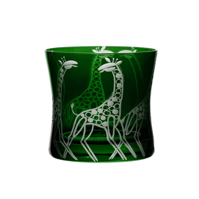 Safari Giraffes