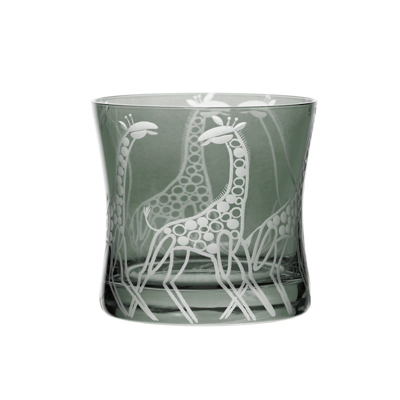 Safari Giraffes