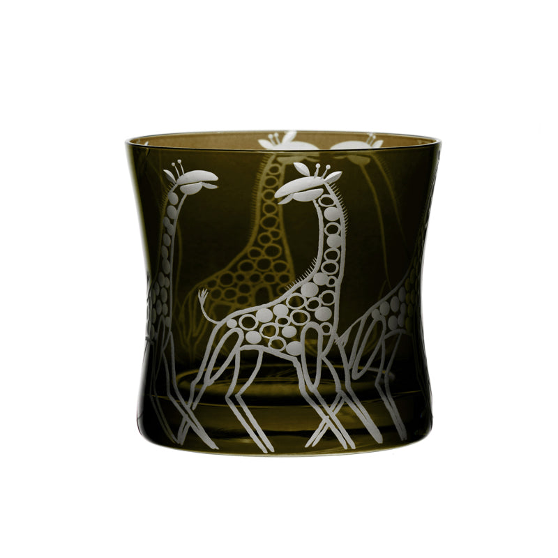Safari Giraffes
