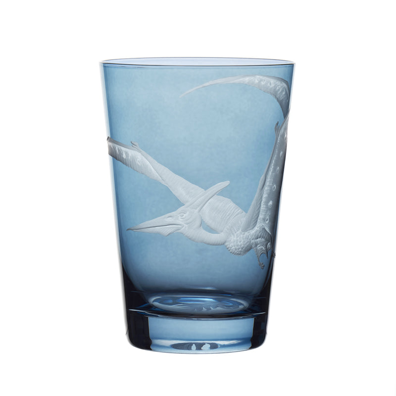 Dinosaur Collection 1 Pterodactyl