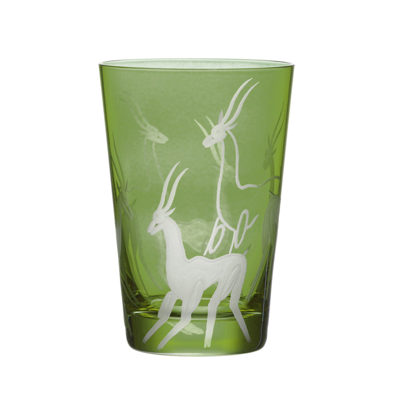 Safari Gazelles