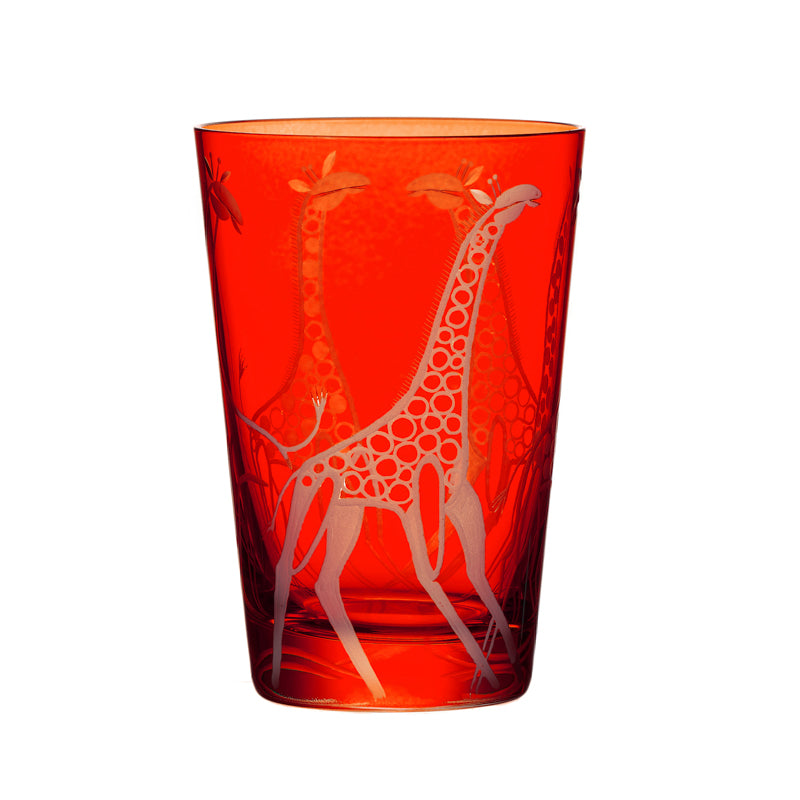 Safari Giraffes