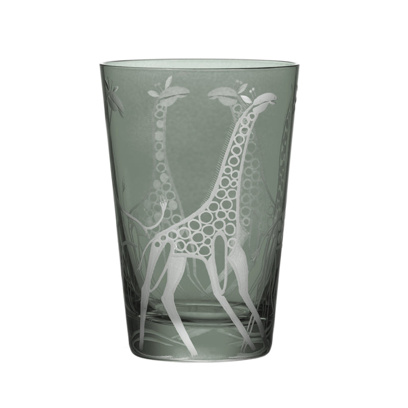 Safari Giraffes