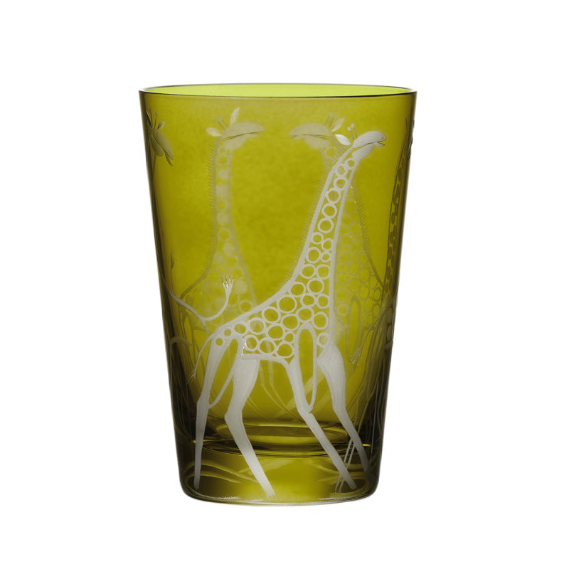 Safari Giraffes