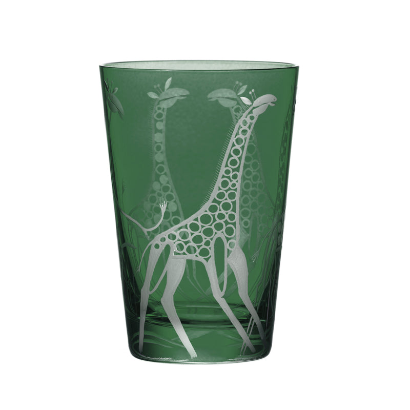 Safari Giraffes