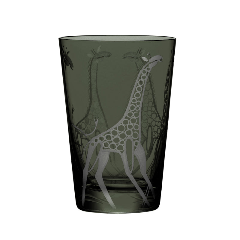 Safari Giraffes