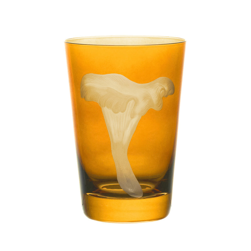 Mushrooms Chanterelle