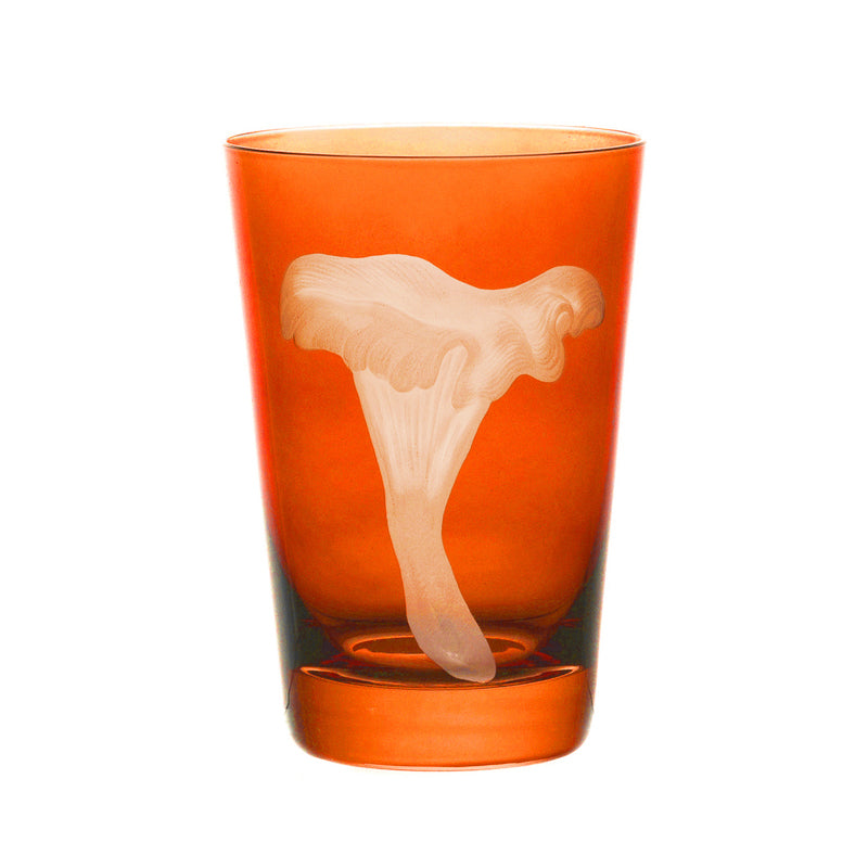 Mushrooms Chanterelle