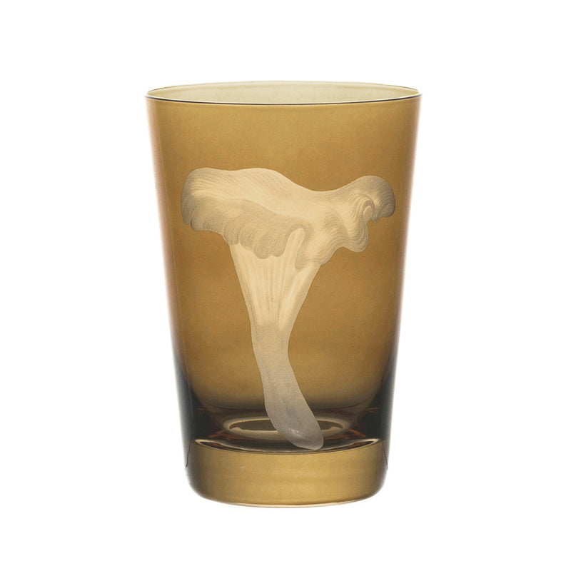 Mushrooms Chanterelle