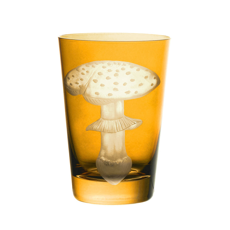 Mushrooms Fly Amanita