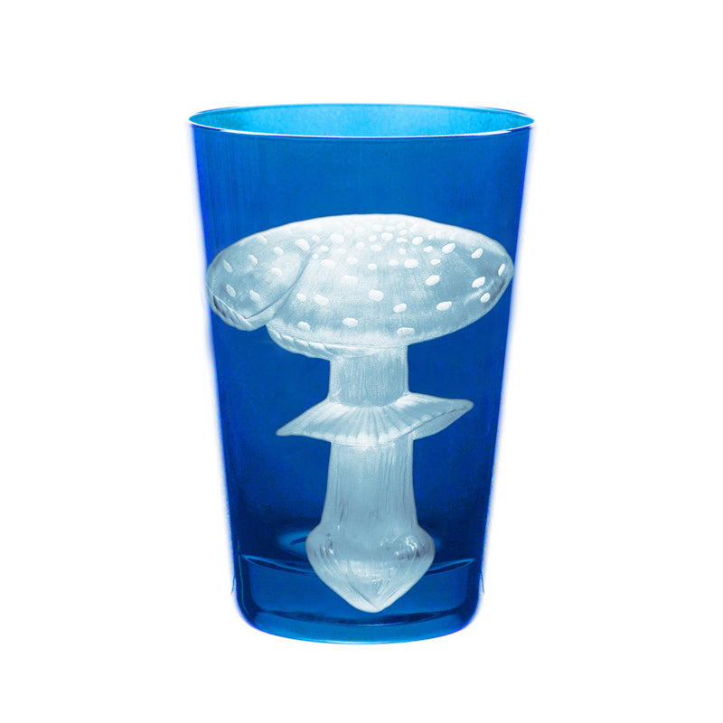 Mushrooms Fly Amanita