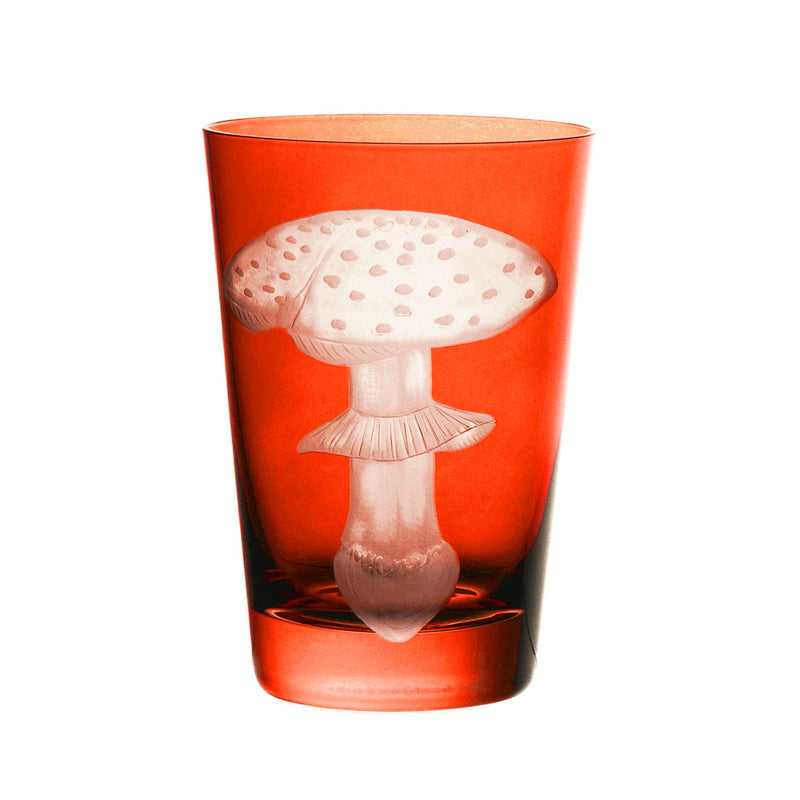 Mushrooms Fly Amanita