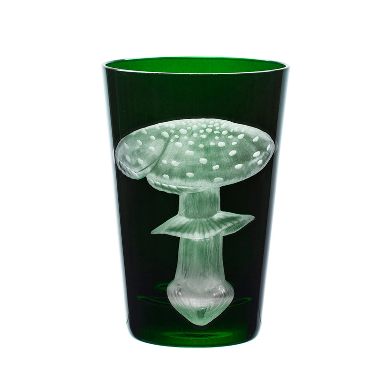 Mushrooms Fly Amanita