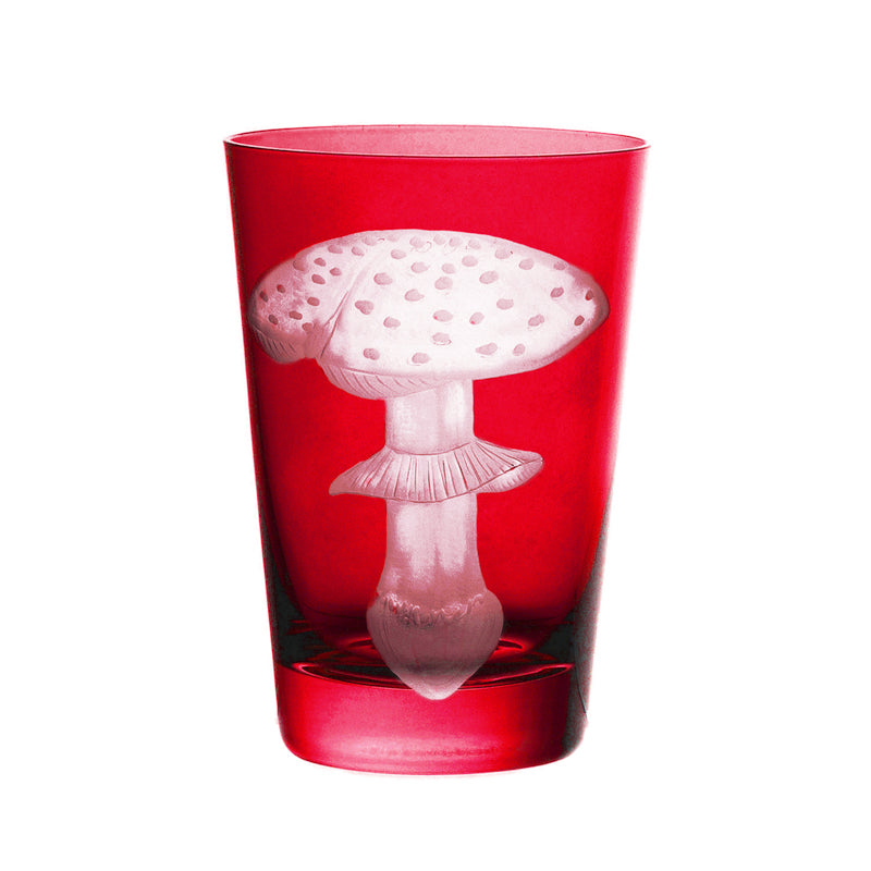 Mushrooms Fly Amanita