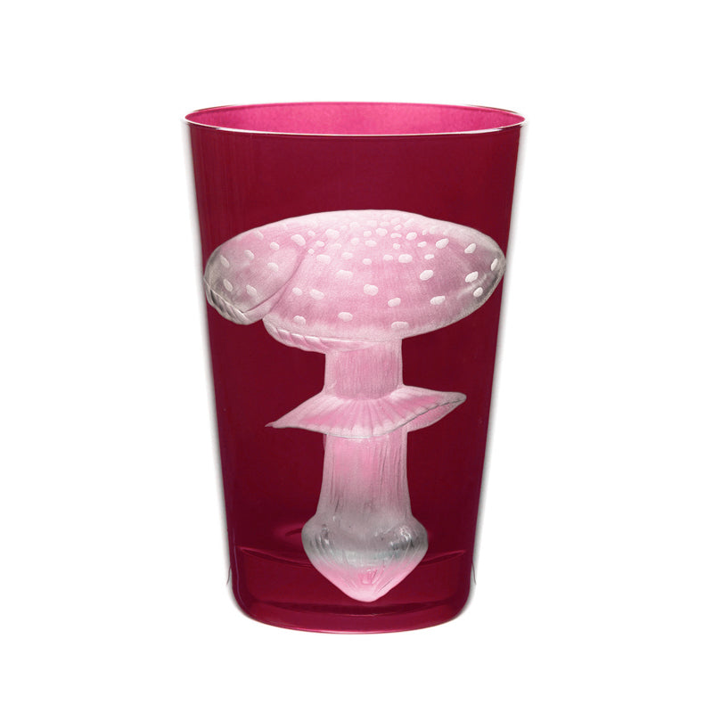 Mushrooms Fly Amanita