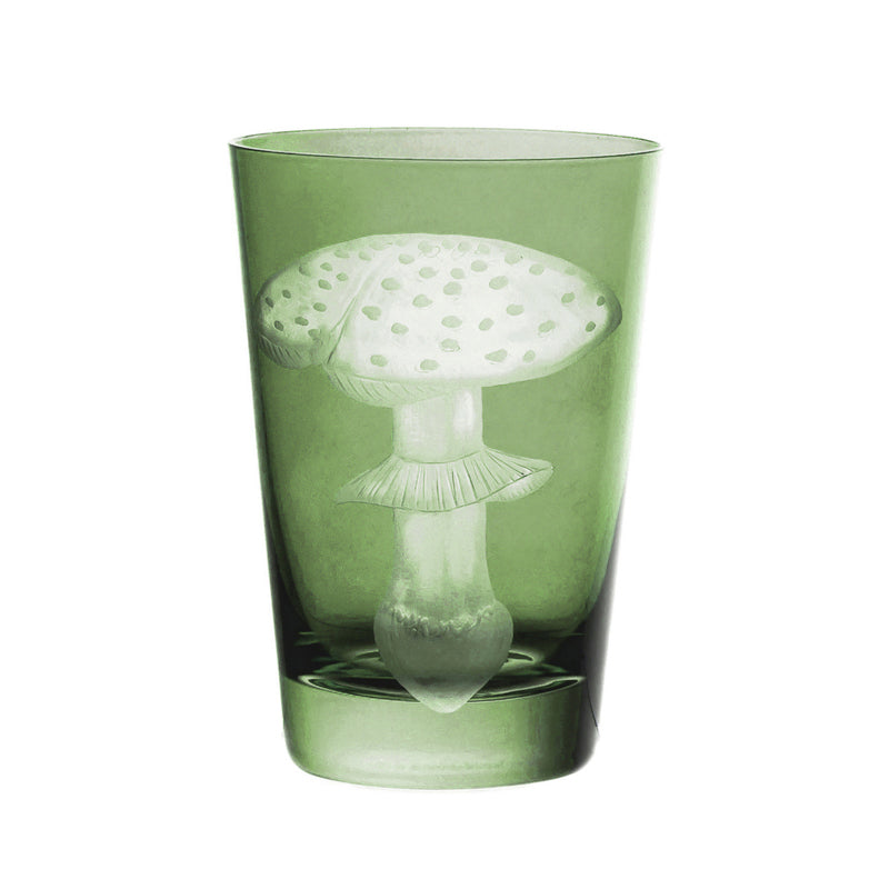 Mushrooms Fly Amanita