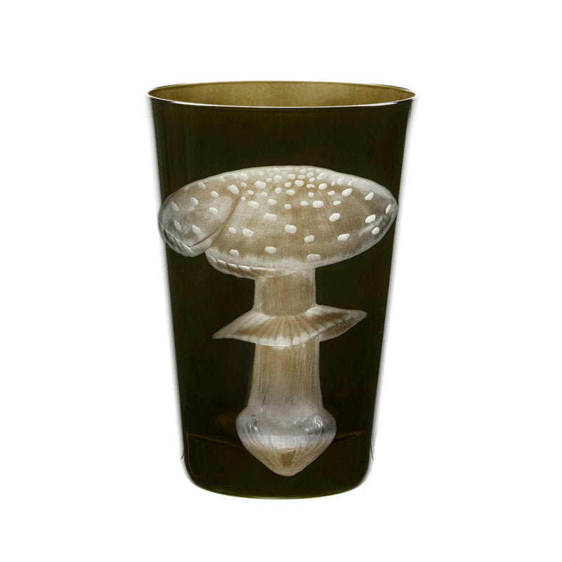 Mushrooms Fly Amanita