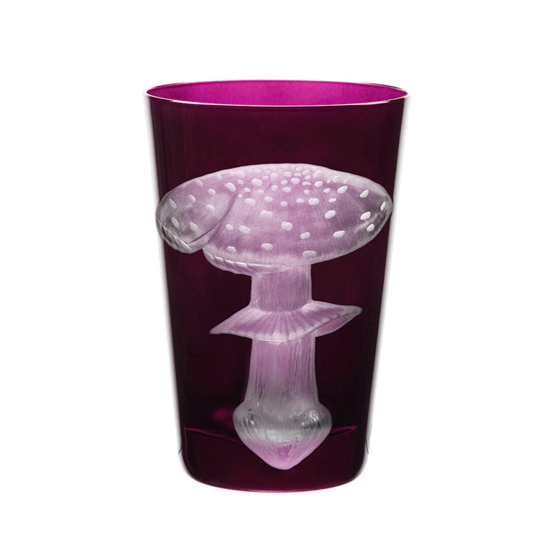 Mushrooms Fly Amanita