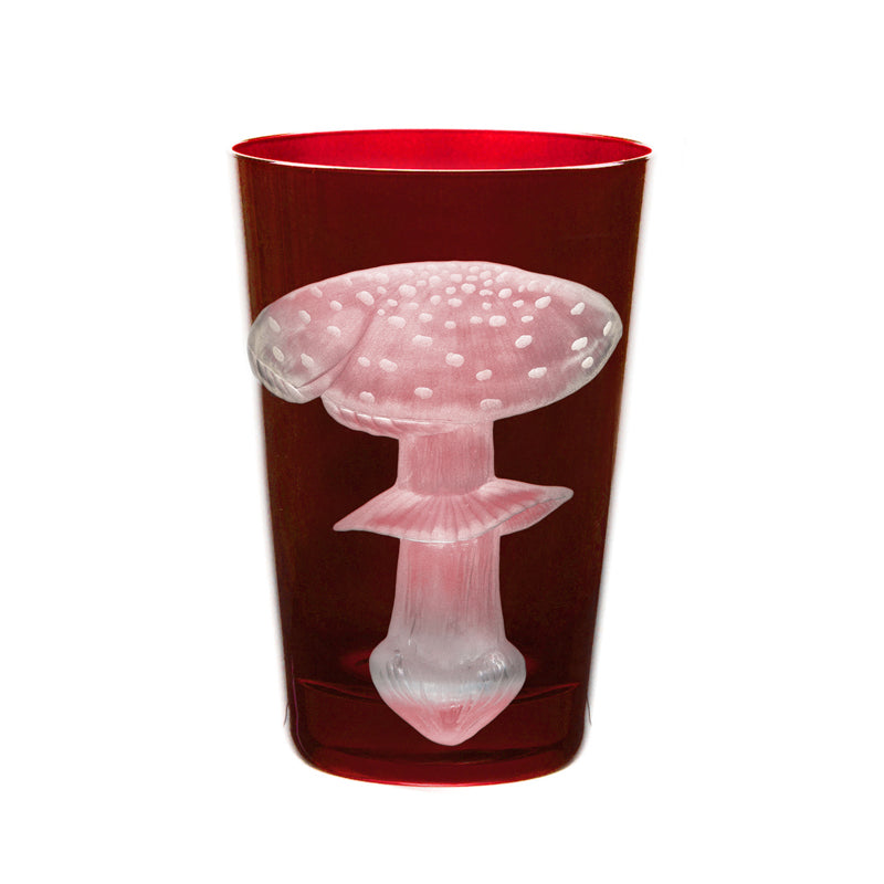 Mushrooms Fly Amanita