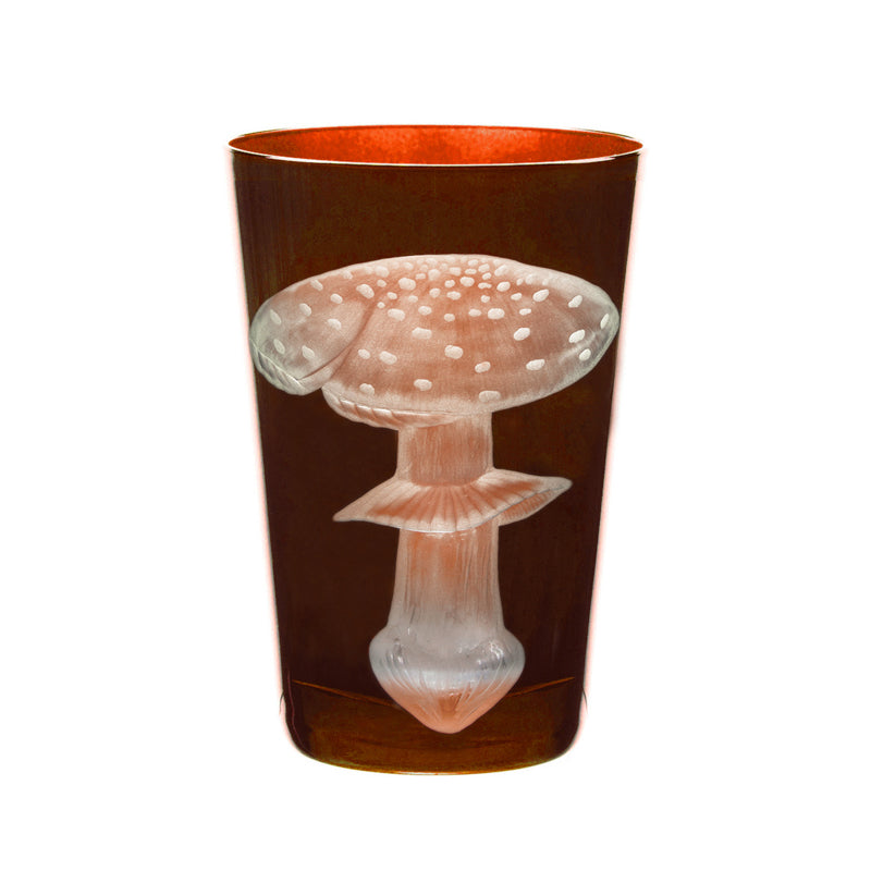 Mushrooms Fly Amanita