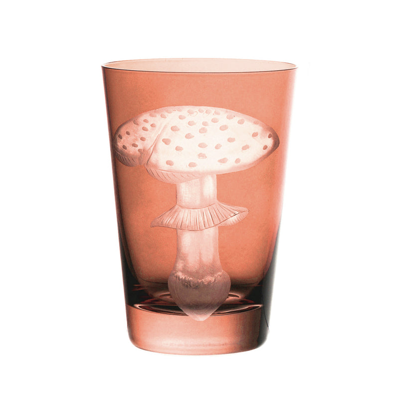 Mushrooms Fly Amanita