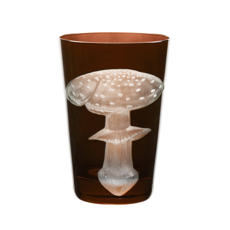 Mushrooms Fly Amanita