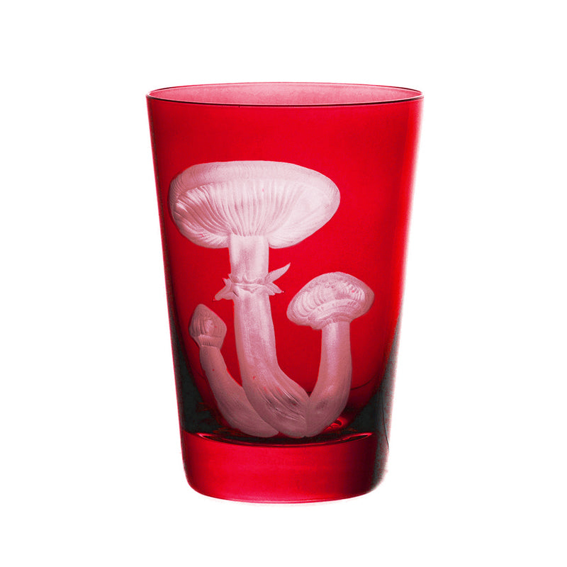 Mushrooms Honey Fungus