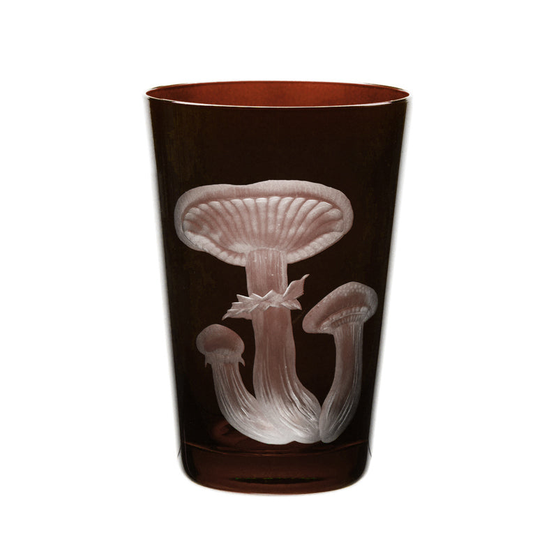 Mushrooms Honey Fungus