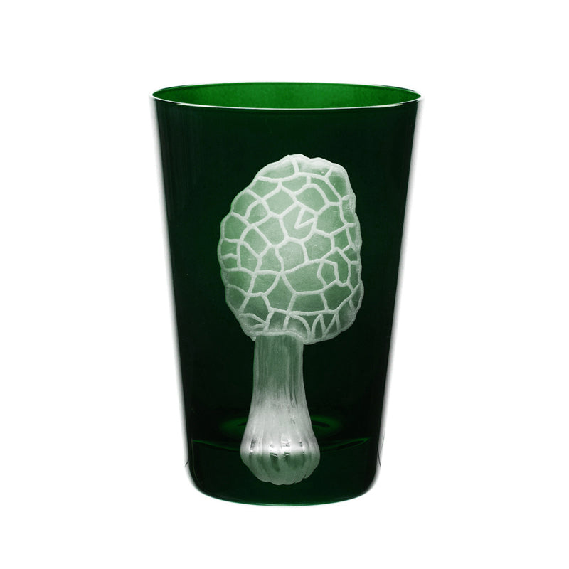Mushrooms Morel