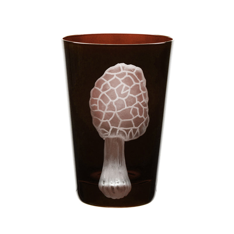 Mushrooms Morel