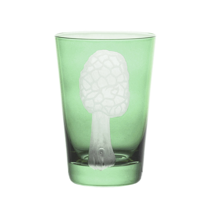 Mushrooms Morel