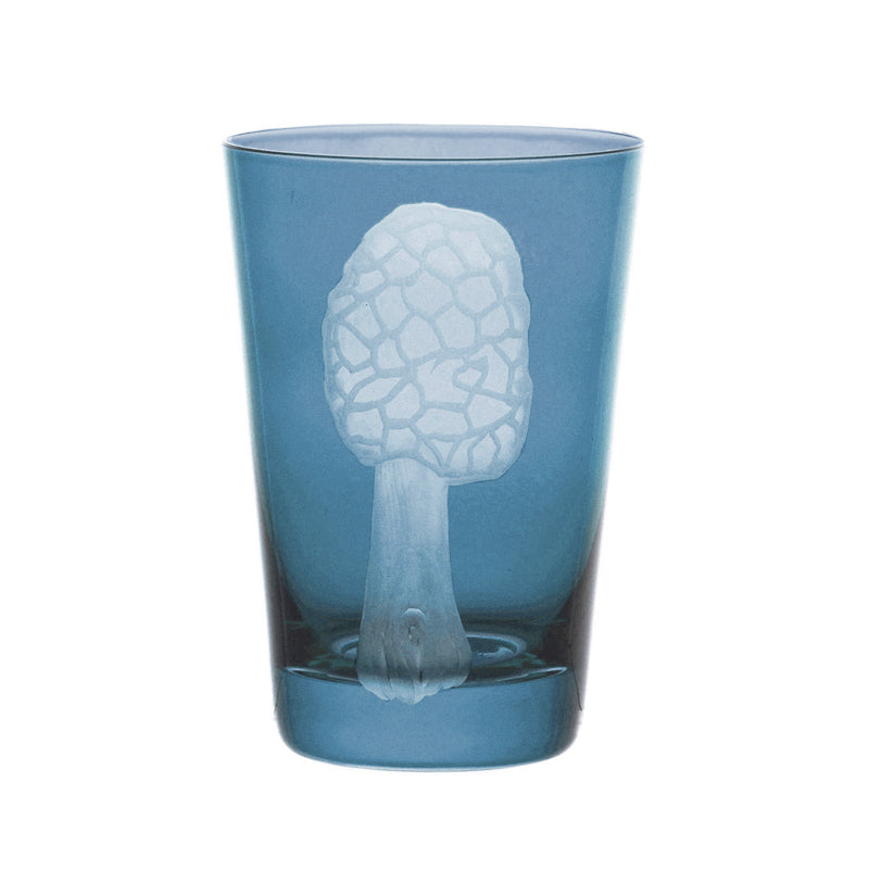 Mushrooms Morel