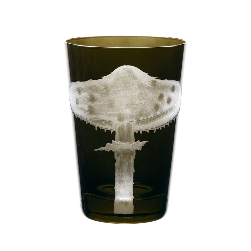 Mushrooms Parasol