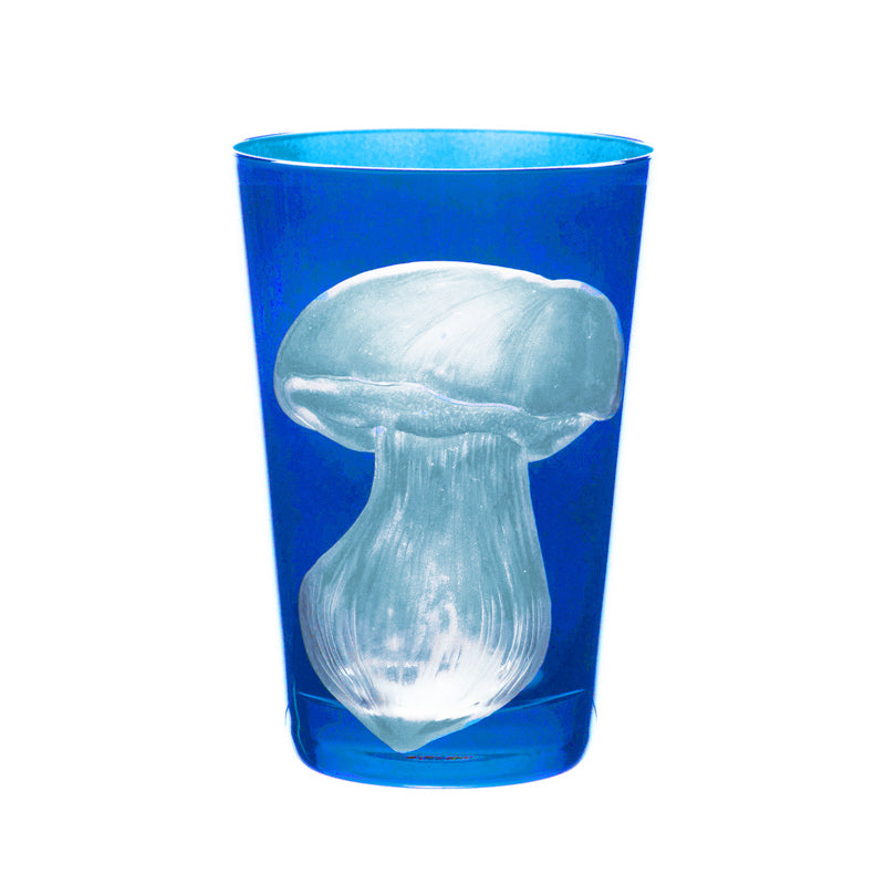 Mushrooms Summer Cep