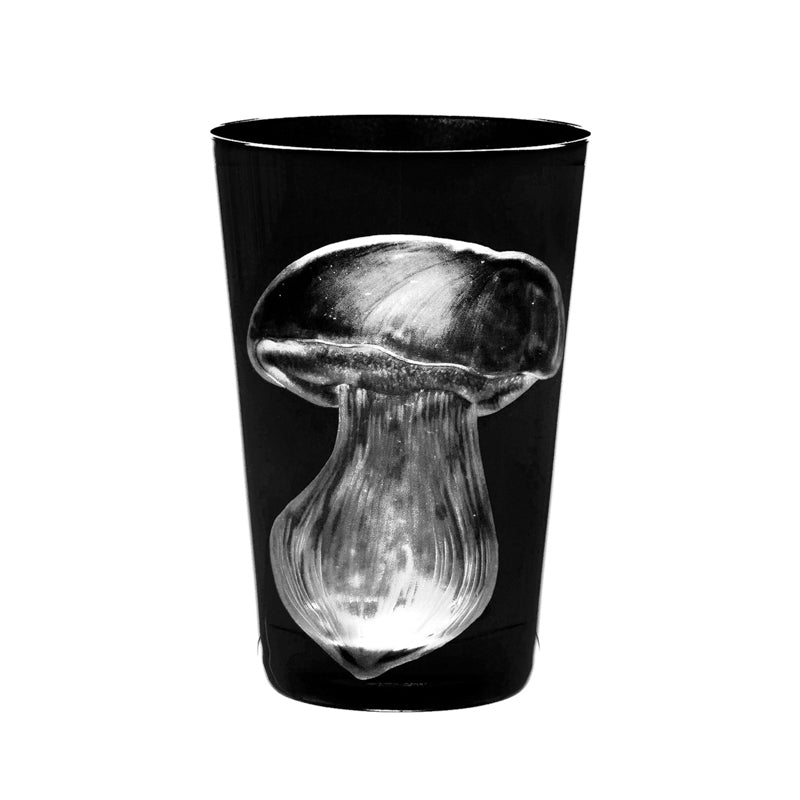 Mushrooms Summer Cep