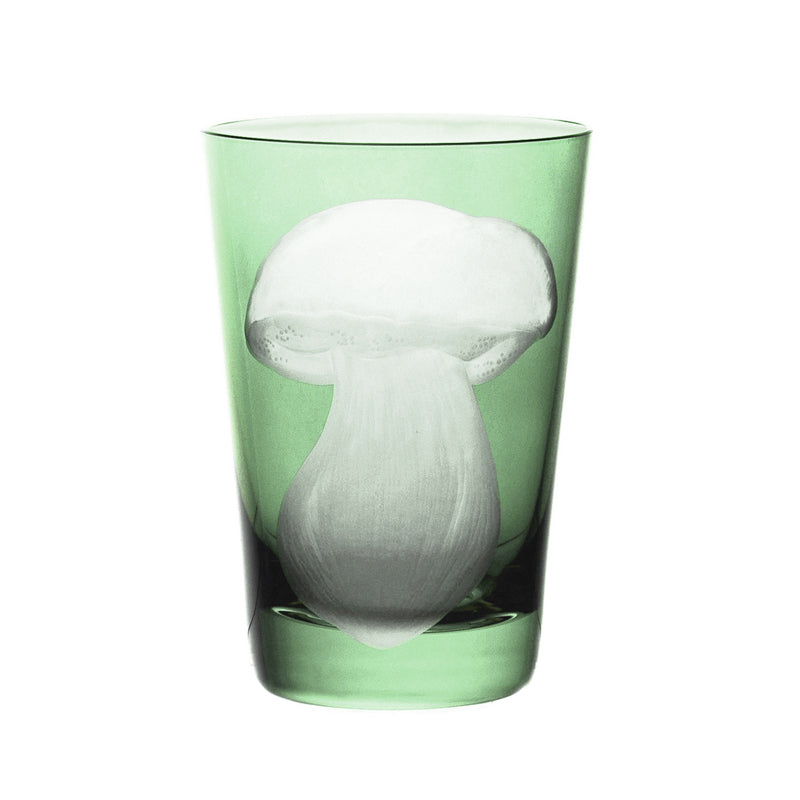 Mushrooms Summer Cep