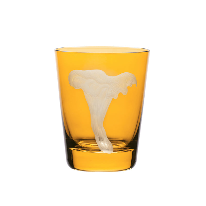 Mushrooms Chanterelle