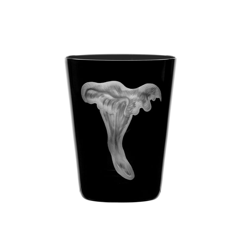 Mushrooms Chanterelle