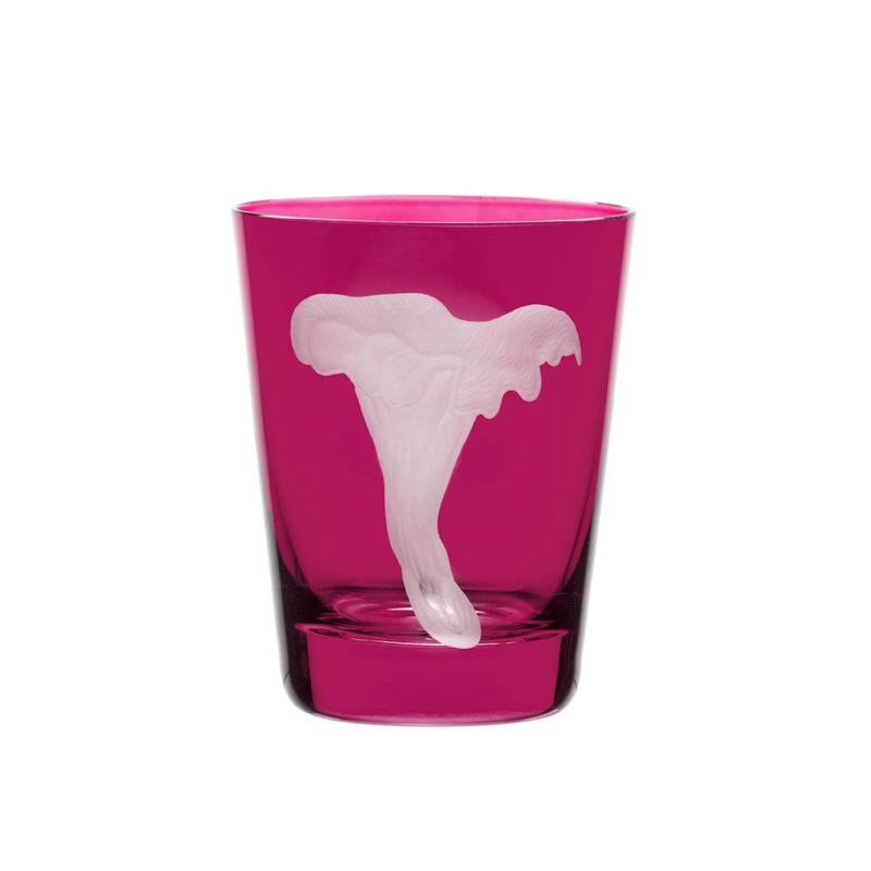 Mushrooms Chanterelle