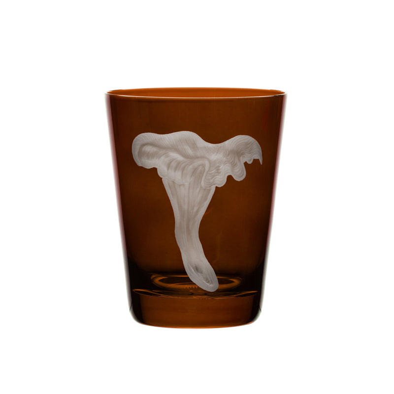 Mushrooms Chanterelle